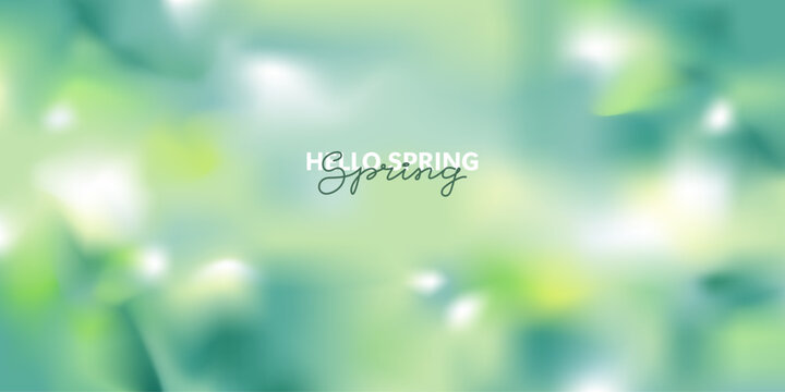 Spring soft blurred background in green, white, yellow shades. Natural landscape with green leaves. Sunny warm cozy summer day with unfocused greenery. 