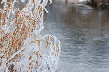 Winterliche Flusslandschaft der Waldnaab bei Rothenstadt mit Frost und Schnee