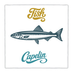 Hand drawn Capelin fish illustration in vintage engraving style with lettering. Perfect for seafood design, restaurant branding, menus, labels, posters, and packaging. Part of set.