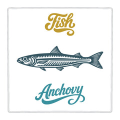 Hand drawn Anchovy fish illustration in vintage engraving style with lettering. Perfect for seafood design, restaurant branding, menus, labels, posters, and packaging. Part of set.