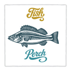 Hand drawn Perch fish illustration in vintage engraving style with lettering. Perfect for seafood design, restaurant branding, menus, labels, posters, and packaging. Part of set.