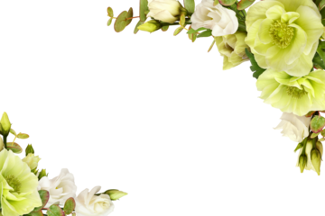 White anemones, eustoma flowers and green eucalyptus leaves in a corner arrangements isolated on white or transparent background