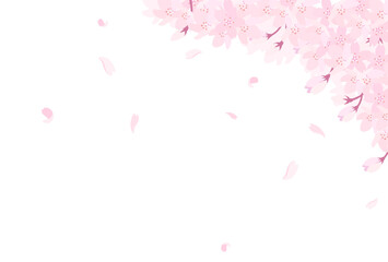 満開の桜のイラスト_横2