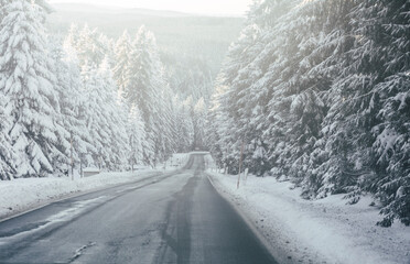 Obraz premium Winter road trip through a snowy forest in Oberwiesenthal, Ore Mountains