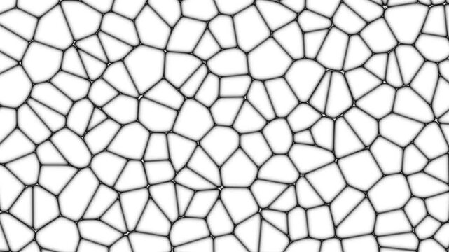 Animated Voronoi Pattern video