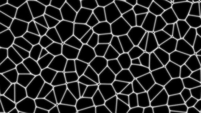 Animated Voronoi Pattern video
