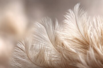 Soft focus image of delicate, fluffy, light-brown feathers. Shallow depth of field. Natural, organic feel