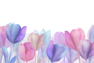 Watercolor tulip border with transparent strokes, gentle shadows, soft gradients, clean feminine aesthetic for Women's Day greeting visuals
