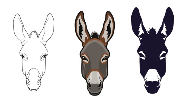 Three Donkey Head Illustrations Outline, Color, and Silhouette