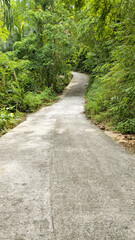 Concrete road curving through tropical vegetation, Island Ko Tao, Surat Thani, Thailand, Southeast Asia.
