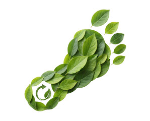 Eco Footprint Shape Made of Fresh Green Leaves