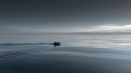 Serene Porpoise Surfacing Against a Calm Horizon at Dusk
