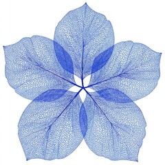 Blue, transparent, five-petaled botanical structure on a white background