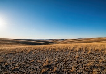 Expansive summer rangeland under intense sunlight. Dry, cracked earth meets rolling hills beneath a huge blue sky, summer, extreme, steppe