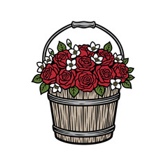 rose flowers in a wooden bucket on a white background.