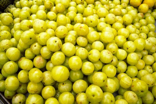 Indian gooseberry (Amla) in Nepal	