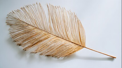 A close-up view of a delicate golden feather on a plain white background.