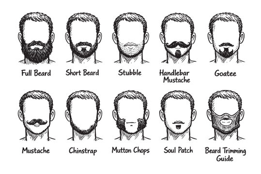 A detailed black and white hand-drawn illustration featuring a collection of popular male facial hair styles, including beards and mustaches, presented as an informative grooming guide.