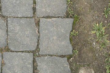 Obraz premium Cobblestone path meeting soil and small plants at the edge, gray granite stones, top view.