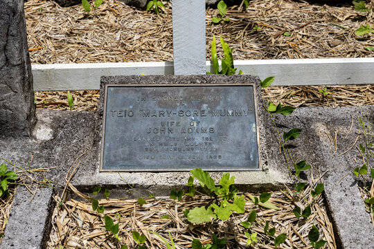 View of a weathered grave marker bearing the inscription for Teio Mary-Borea U'U'I amidst dried leaves and vibrant green sprouts, Adamstown, Pitcairn Islands.