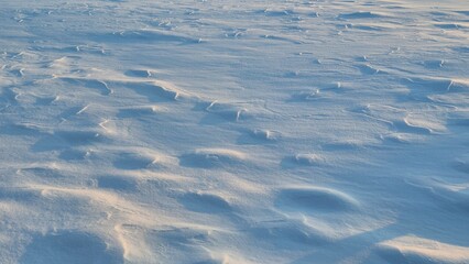 Beautiful wind-sculpted snow texture on a flat winter field. Sastrugi patterns on frozen ground at sunset. Natural white and blue winter background.