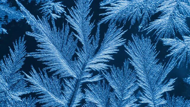 Frosty blue crystalline structures forming intricate patterns on a surface viewed from directly above