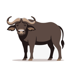 Fototapeta premium cute baby African Buffalo, flat design, vector illustration, isolated on white transparent background for kids kindergartens themes