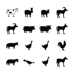 Fototapeta premium farm animals collection vector