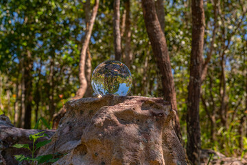 A glass crystal ball placed on the forest ground captures a sharp reflection of trees, rocks, and sky, offering a unique lens ball perspective on the beauty of nature.