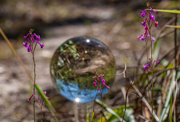 A transparent glass sphere reflects a tranquil forest and blue sky, blending natural elements with creative photography techniques for a calm and dreamlike mood.