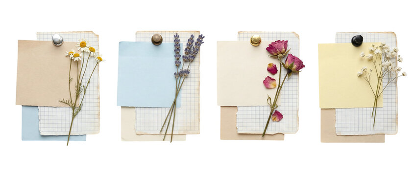 Set of four vintage collage layouts with grid paper blank notes and dried flowers including chamomile lavender roses and babys breath for scrapbooking journaling and craft design