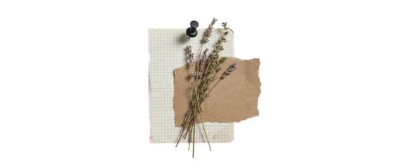Torn grid sheet with kraft paper layer and dried lavender pinned with a black pushpin for rustic scrapbooking journaling and botanical collage design