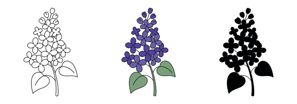 A lilac flower illustration with soft pastel colors, highlighting the beauty of spring and floral design.