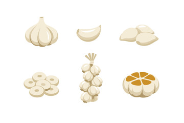 Collection of stylized garlic illustrations showing different forms and preparations