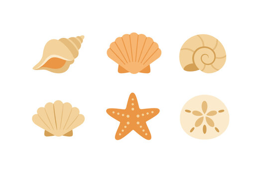 Collection of colorful seashells and starfish illustrations on a white background