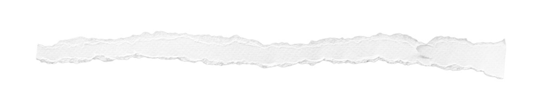 Long narrow torn white paper strip with rough uneven edges, isolated transparent background.