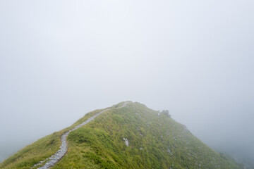 A slender gravel trail traces the crest of a grassy ridge, disappearing into thick white fog that obscures the surrounding alpine landscape and creates a mysterious, tranquil mood.