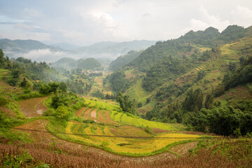Obraz premium Sweeping rice terraces curve through a lush green valley near Bac Ha, Vietnam, with soft mist rising among forested hills and distant mountains under a cloudy sky.