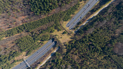 Wildlife bridge creating green connection over highway