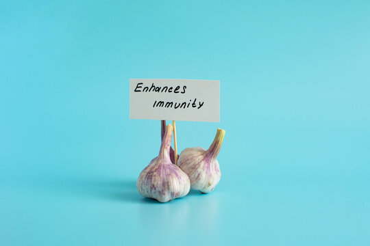 Garlic is a natural antiseptic and medicinal product. Garlic bulbs in close-up on a light background and the inscription on the sign.