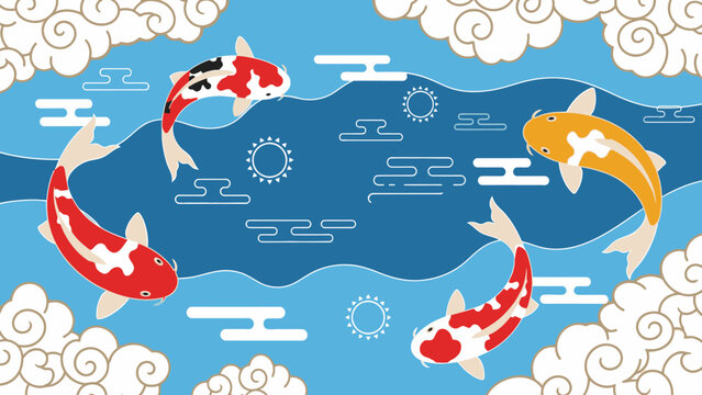 Colorful Koi Fish Swimming Together.