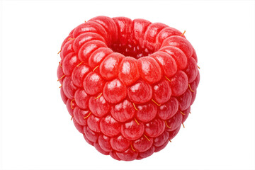 Fresh red raspberry showing texture and vibrant color, healthy sweet ripe berry, isolated with a transparent background