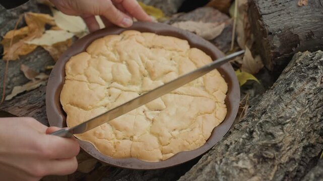 Outdoor rustic pie on log being sliced by rock musician in leather jacket. Closeup hands using large knife to cut golden crust while fallen autumn leaves and rough bark frame scene. Atmosphere cozy,
