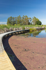 ニュージーランド　ホークス・ベイ地方にある湿地保護区のペカペカ・リージョナルパーク