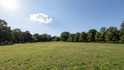 Fototapeta premium Expansive green park field under a bright blue sky with a single cloud, surrounded by lush trees, offering a serene and vast natural landscape view