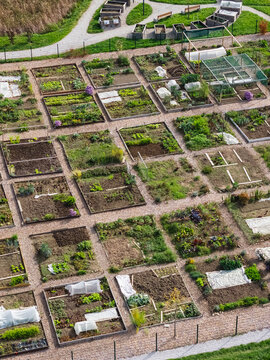 Drone view shows urban gardens with neat plots and paths, showcasing local food production and sustainability efforts.