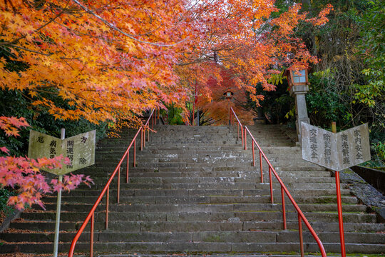 六殿神社の参道の風景（熊本市）
