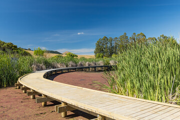 ニュージーランド　ホークス・ベイ地方にある湿地保護区のペカペカ・リージョナルパーク