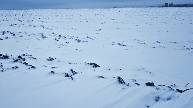 drifting snow forming tongues. a field like a plain where the wind creates dangerous narrow drifts of snow or snow tongues. A typical warning on roads is the phrase danger of drifting snow