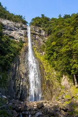A tall, elegant waterfall plunges down a dramatic stone gorge surrounded by dense green forest at Nachi Falls in Wakayama, Japan. Sunlight brightens the textured rocks and vibrant foliage beneath a